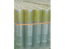 非瀝青基防水卷材